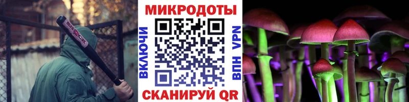 купить наркоту  Новое Девяткино  даркнет формула  Псилоцибиновые грибы Psilocybe 
